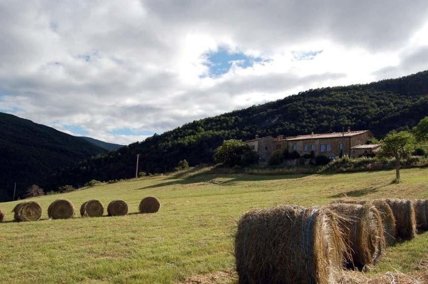 Bed and Breakfast La Ferme De La Condamine Saint-André-de-Rosans Exterior foto