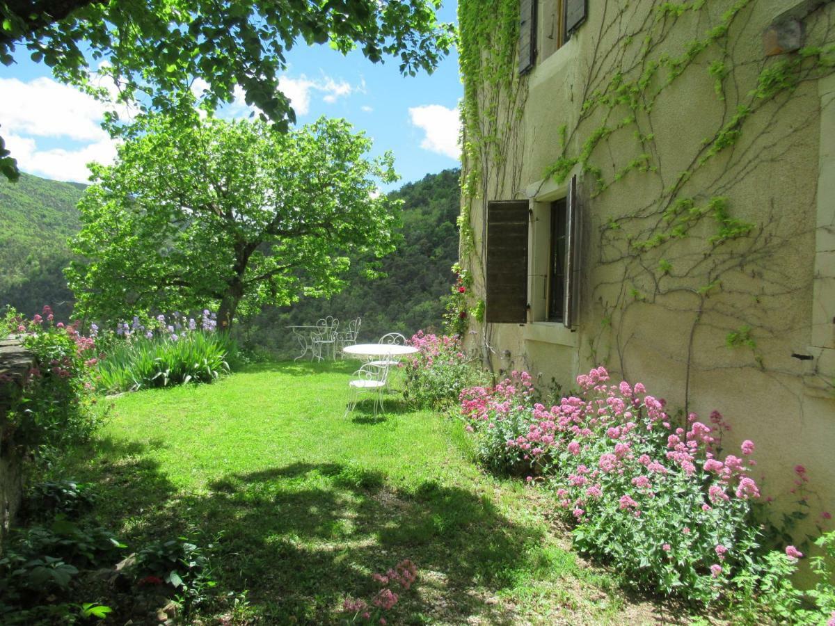 Bed and Breakfast La Ferme De La Condamine Saint-André-de-Rosans Exterior foto